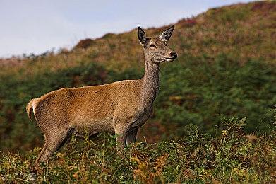 《盗贼之海》宣布私人游戏模式 不受其他玩家骚扰