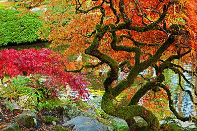 《脑航员2》发布上市宣传片 今日发售首日加入XGP 