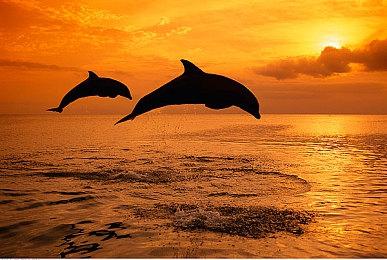 《漫威蜘蛛侠》Boss战缩水 这是为了避免加班